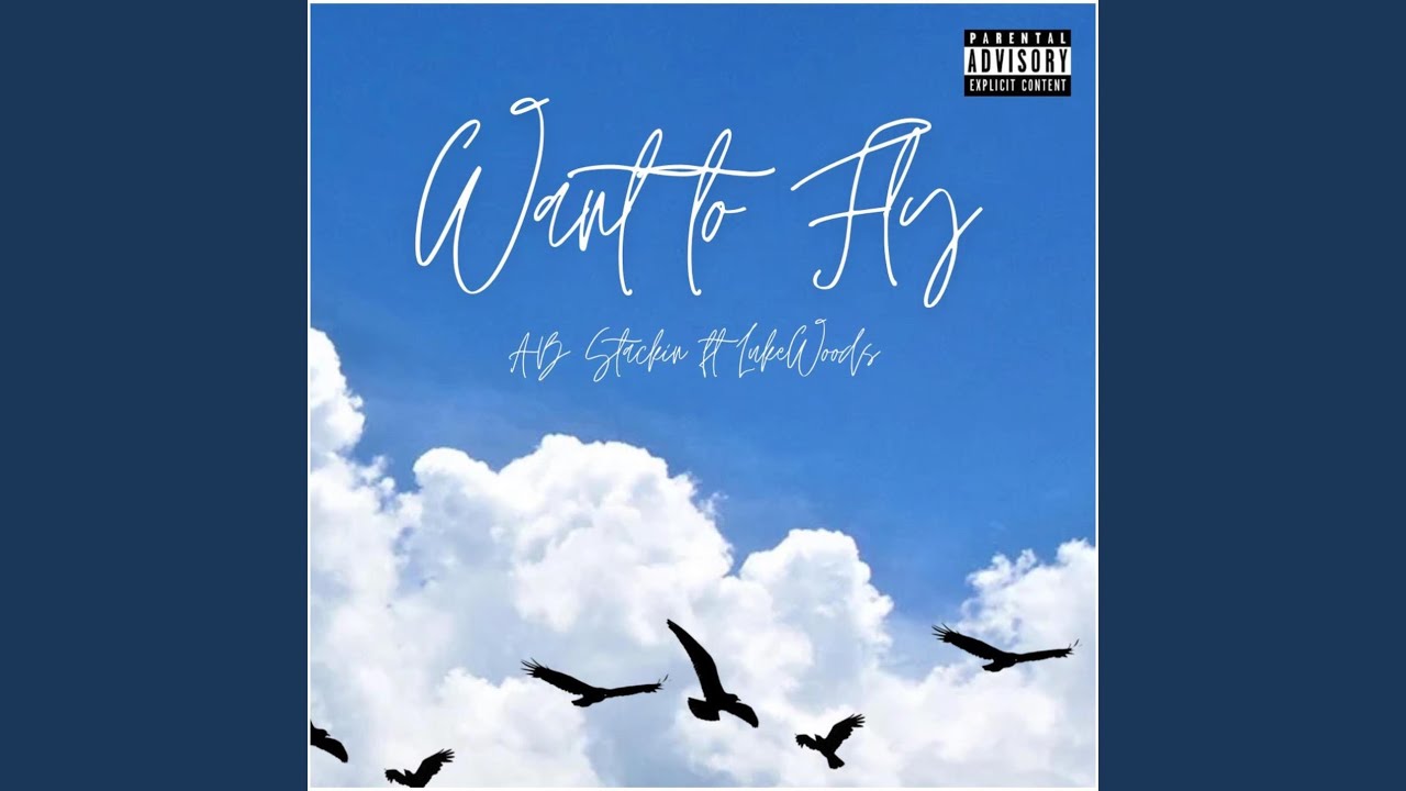 Want to Fly