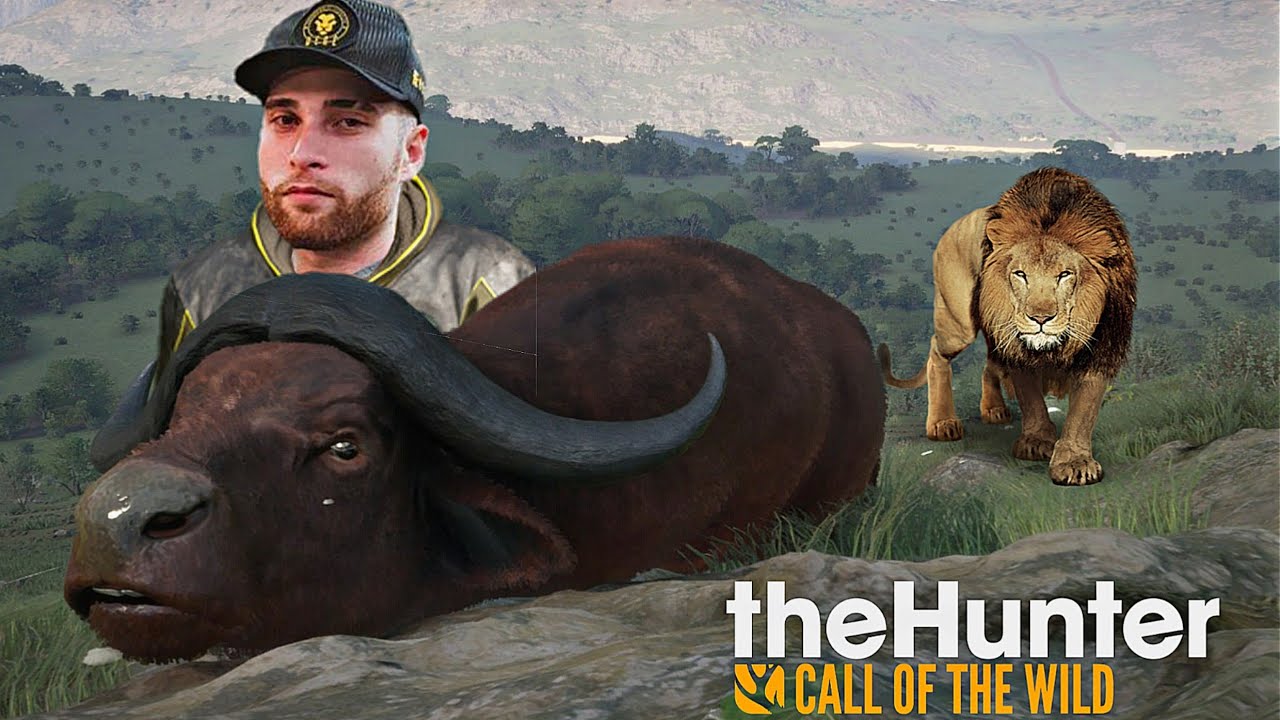 LEÕES e BÚFALOS, CAÇA vs CAÇADORES! UMA VERDADEIRA BATALHA -THE HUNTER Online FT. @CH4P4X