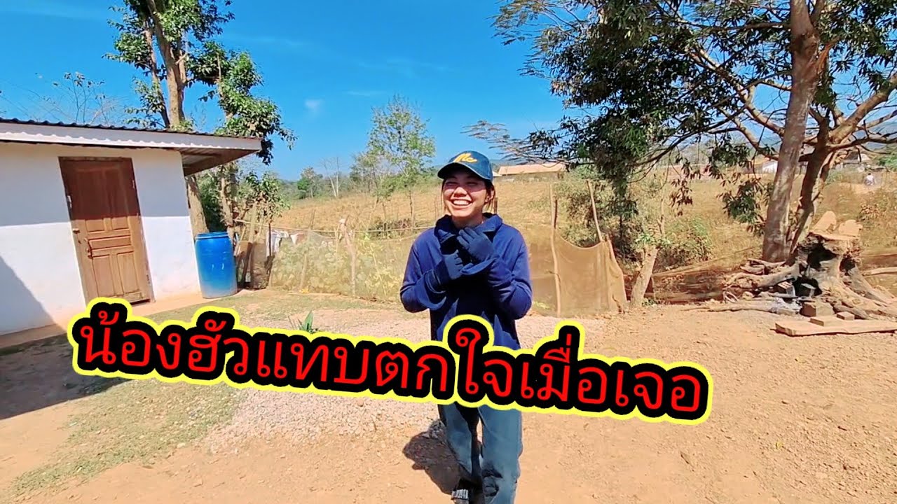 ไม้ทำร้านค้าหนองหัวมาแล้ว13 กุมภาพันธ์ ค.ศ. 2026