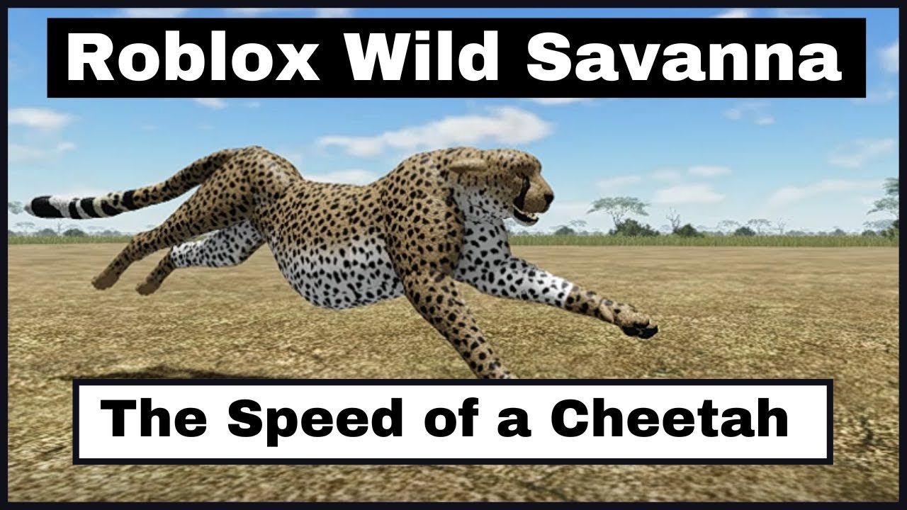 The Speed of a Cheetah - Wild Savanna Documentary - Roblox