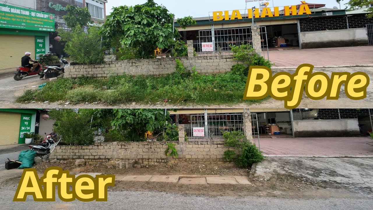 An overgrown, trash-filled grassy area in the middle of the beautiful neighborhood. And the ending.