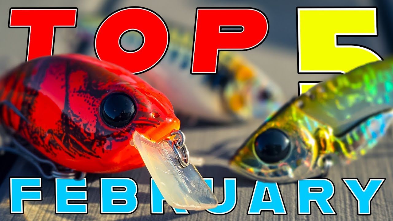 Top 5 Baits For February Bass Fishing!