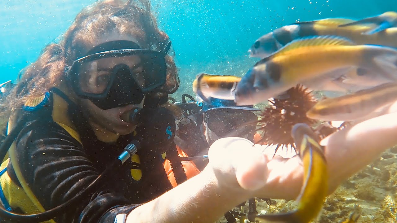 Buceo en Jaimanitas | La Habana | Cuba | 4K