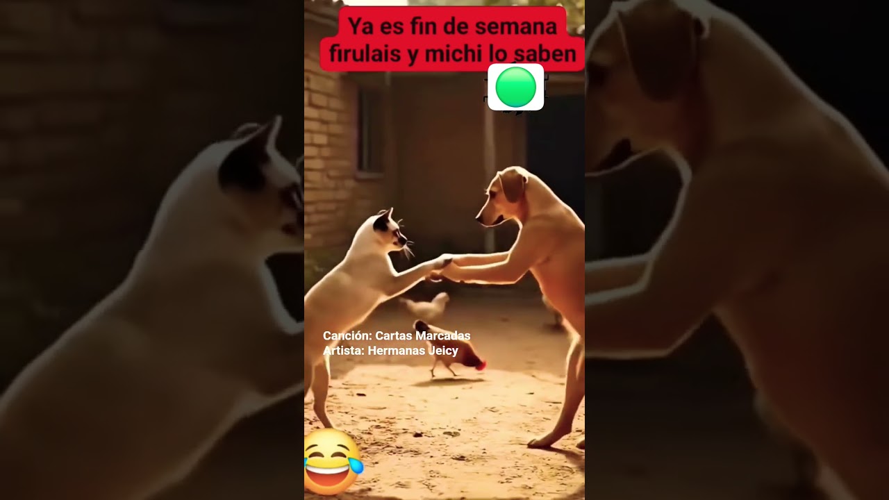 Bonito bailan los animales con musica de un grupo de Oaxaca #fypシ #mx #music