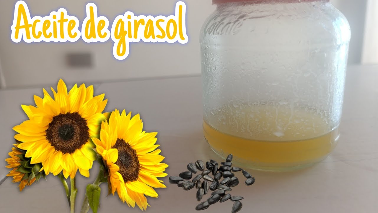 COMO hacer ACEITE de GIRASOL 🌻 de FORMA casera
