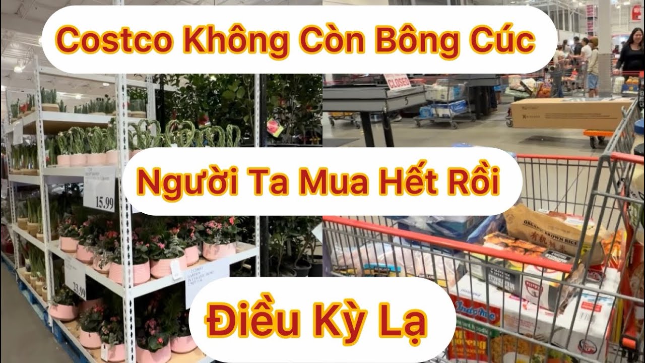 Эпизод 1914: Бегу в Costco за маргаритками — Странно! Ни одного горшка не осталось, кто-то скупил...
