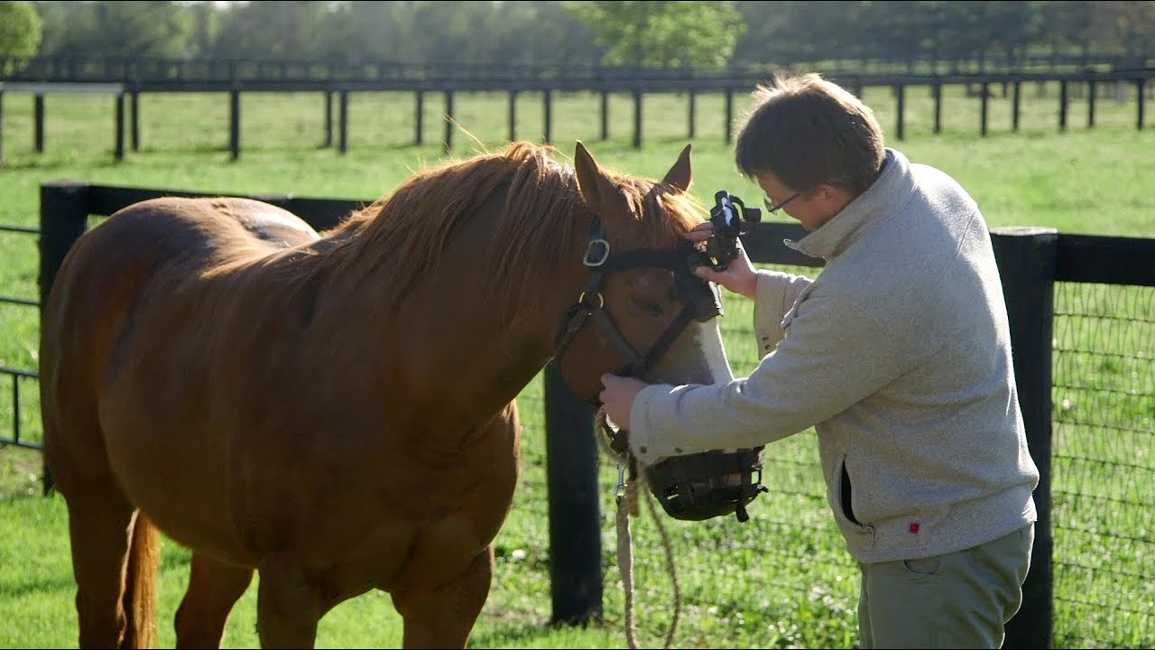 VisitLEX Ads Filmed By Horses Behind The Scenes