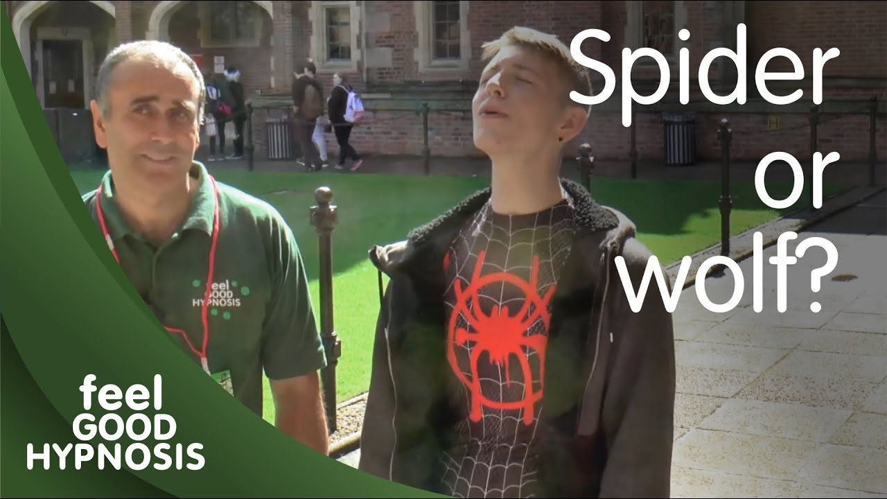 Who is in control of how hypnotic suggestions are accepted? Discussion using a live street hypnosis