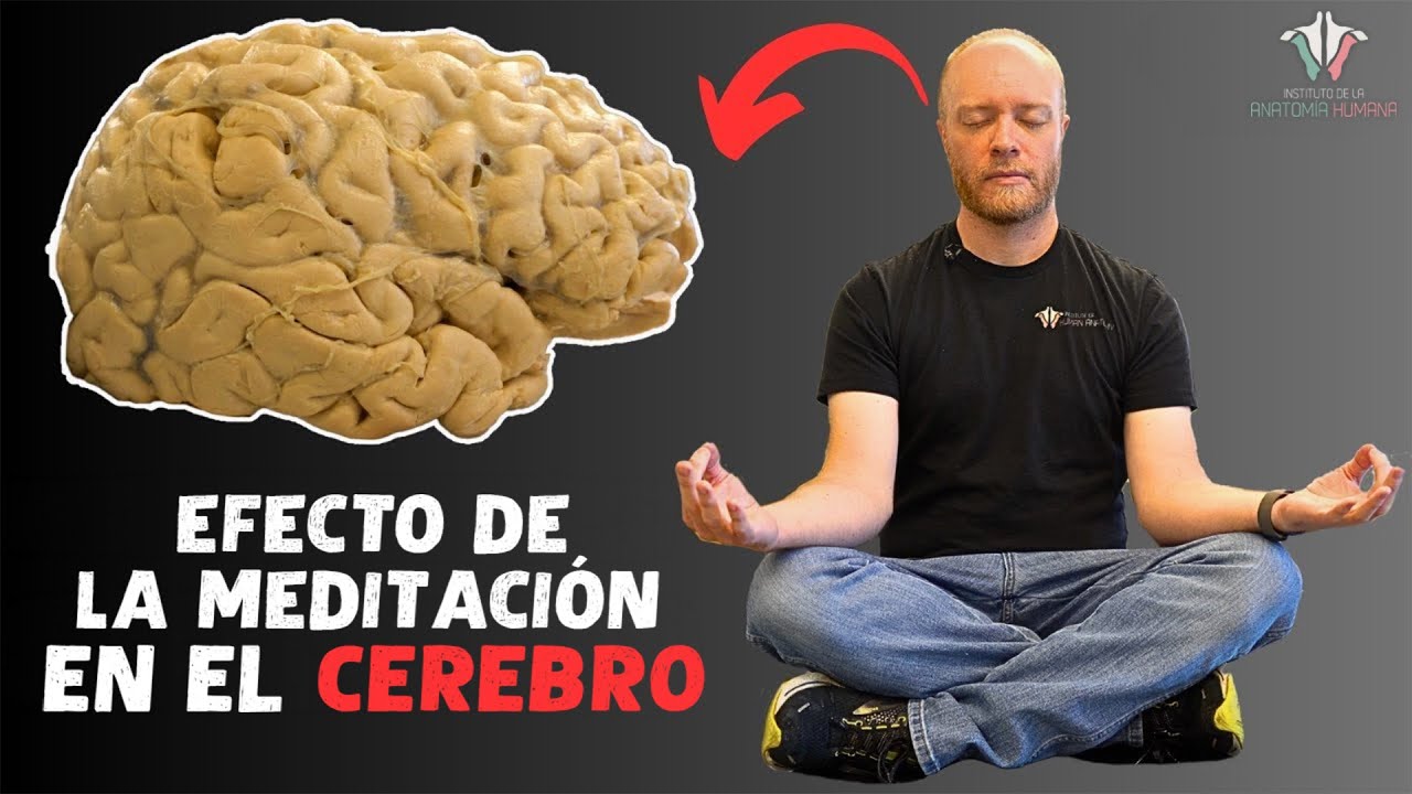 ¿Que pasa en tu Cerebro cuando Meditas?
