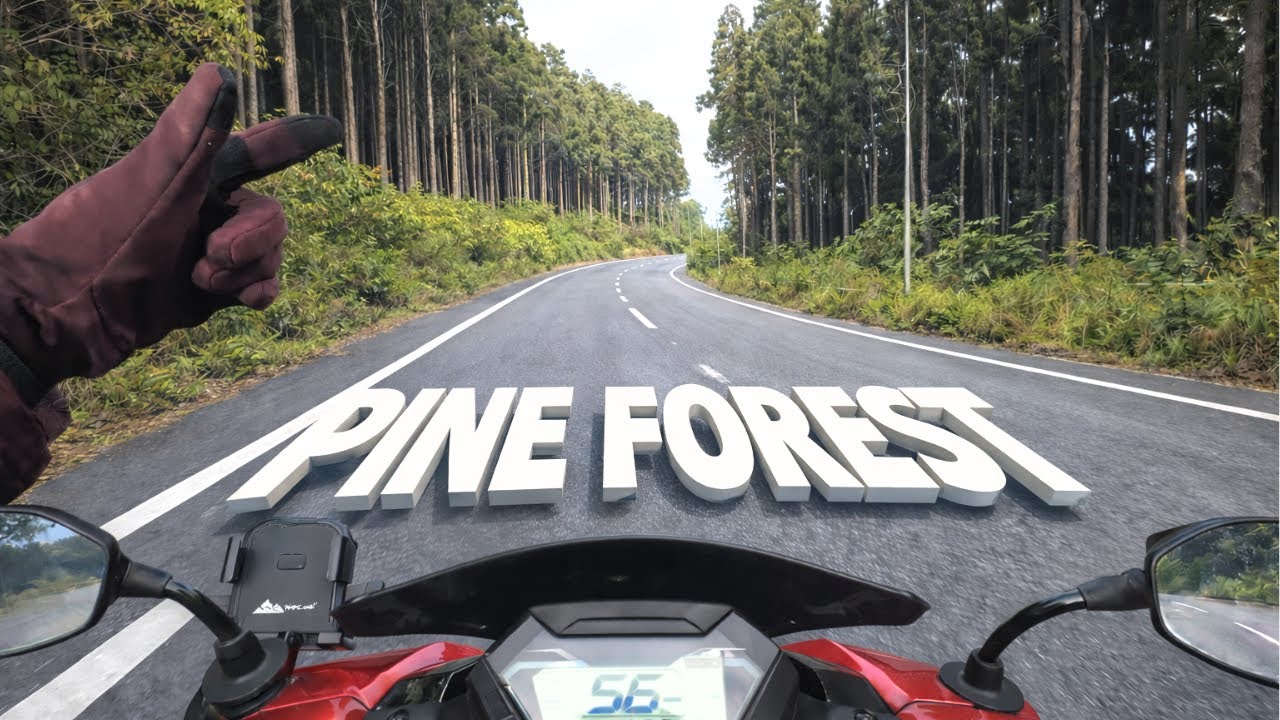 Scooty Trip to Samther Charkhole Lolegaon Lava Rishop North Bengal Ride with Hero Xoom 125