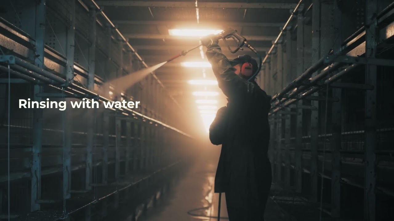 Cleaning & disinfection routine at poultry rearing farm