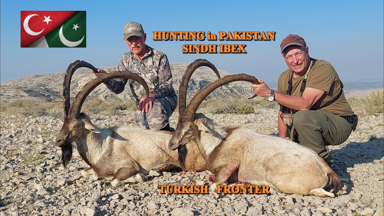 SINDH IBEX HUNTING PAKISTAN - TURKISH FRONTIER