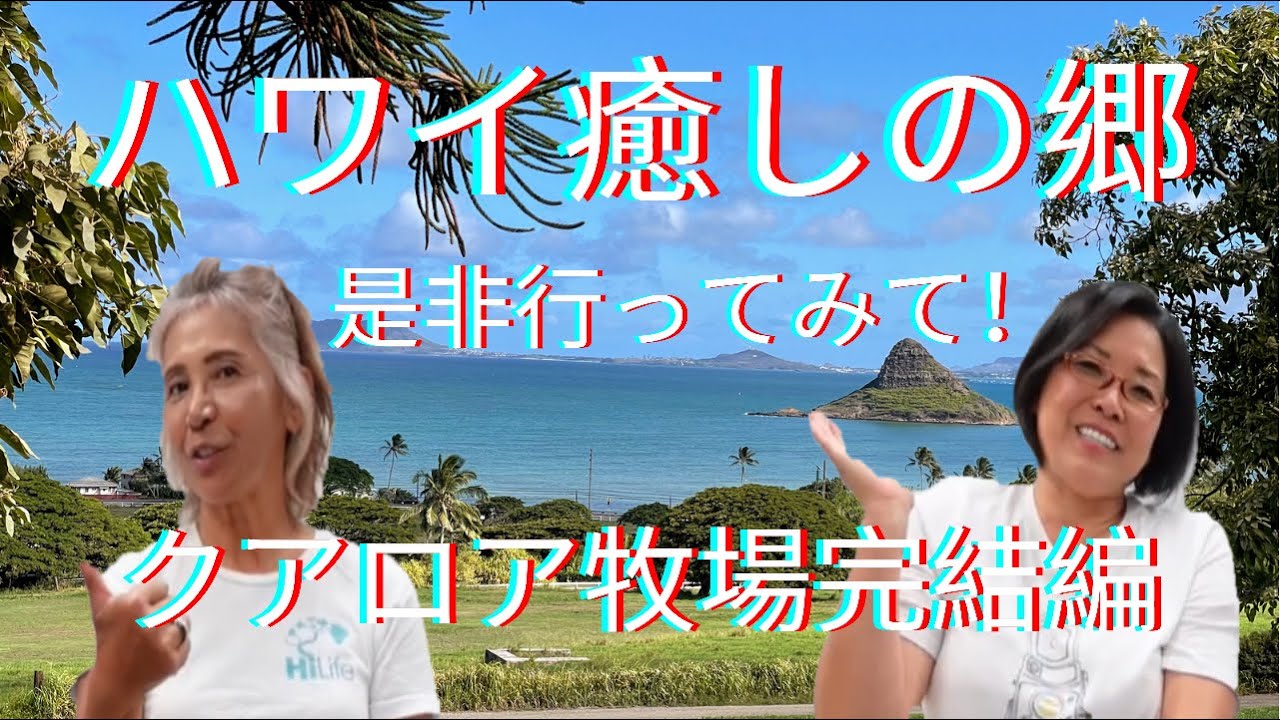 40: 【ハワイ】ハワイのエネルギーを吸収するために、絶対に行って欲しい場所！　ストレスをはき出してスッキリできますよぉ~。　美味しい物もたくさんある‼　とうとうクアロア牧場完結します！