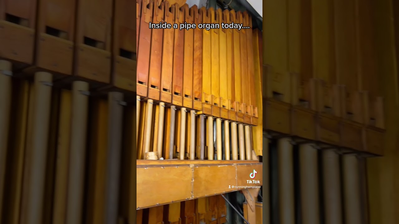 Inside a pipe organ!