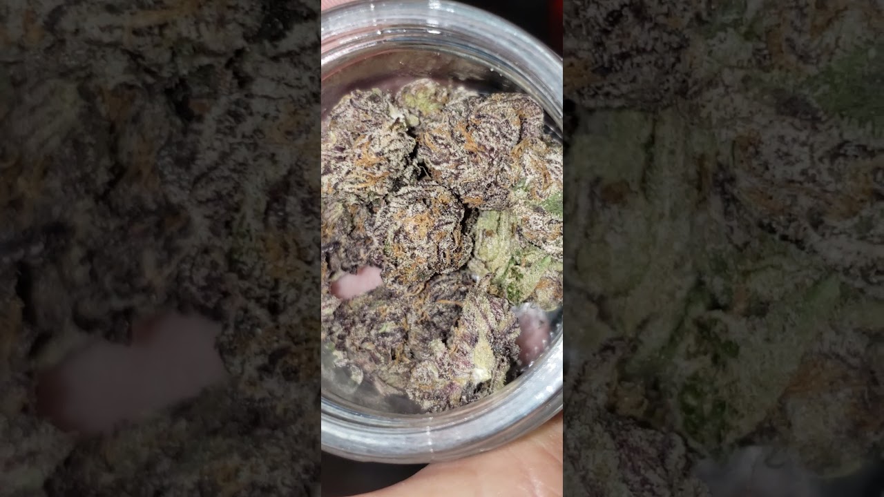BLUE RUNTZ STRAIN #whatsinyourbag?