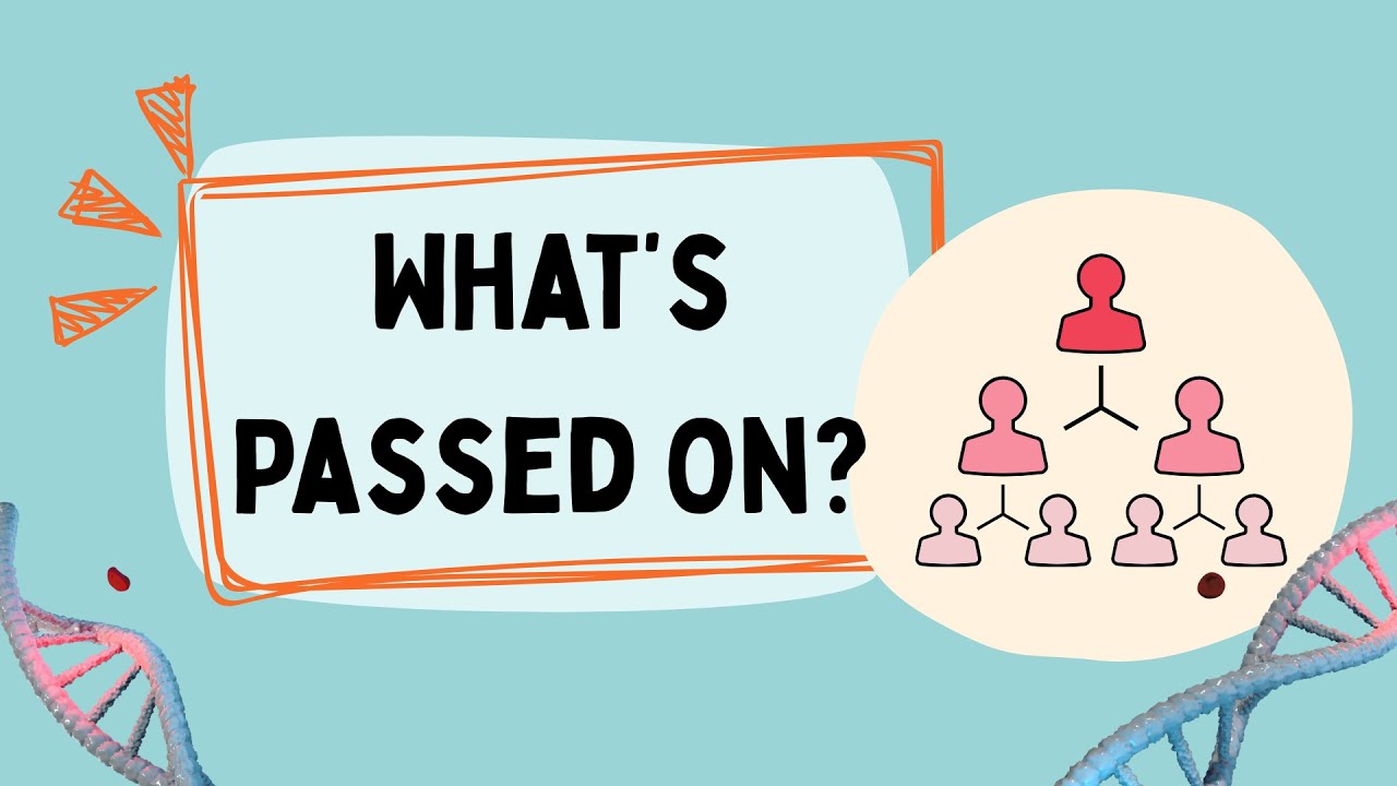Which Best Defines Breeding Value? | Simple Explanation for Animal Breeding Students 🧬🐄