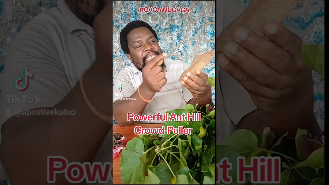Very potent Ant Hill Crowd-Puller & Direction for workers and businesses. #GAGAWUGAGA