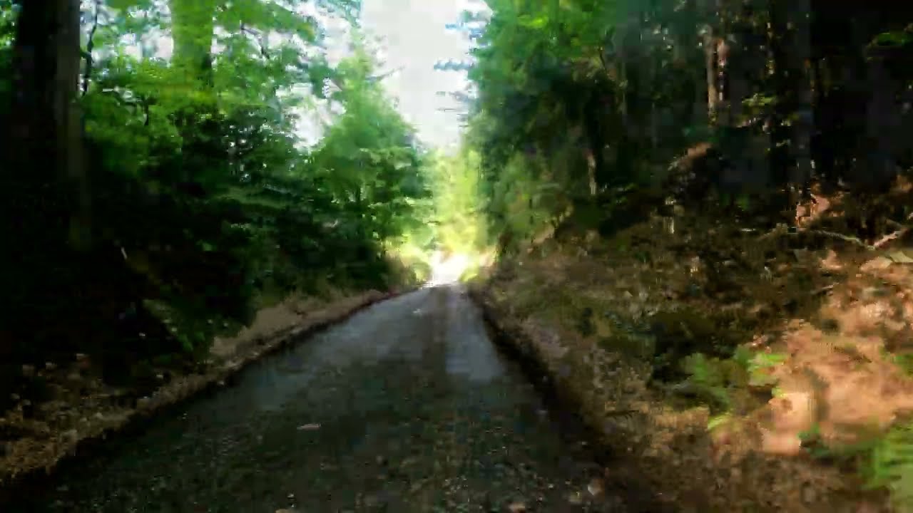 Do Czech nad jezioro Roskosz.