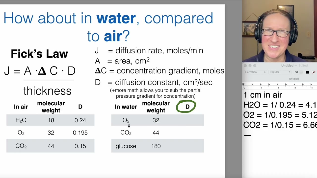 Biol 430 Lecture 3: Gas Transport 2