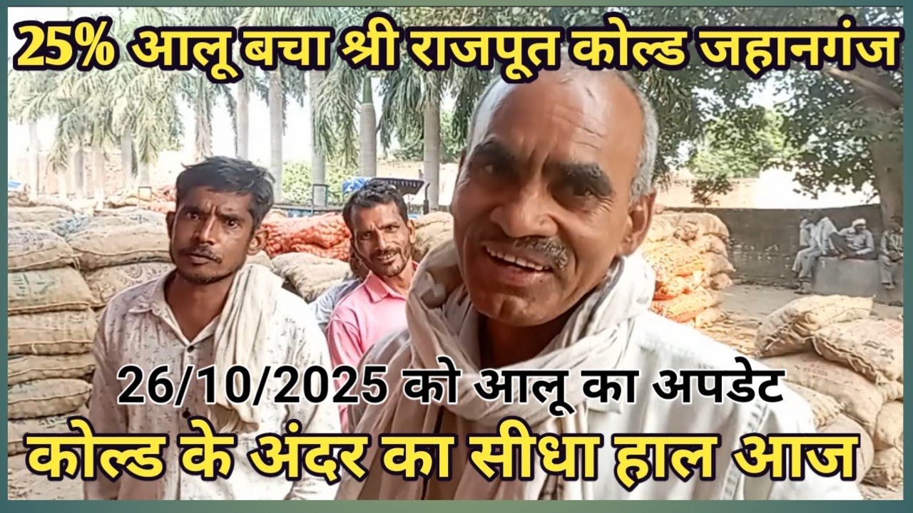 राजपूत कोल्ड मे आलू की 75% निकासी| आज का भाव | कोल्ड के अंदर से सीधा हाल | ytamedia