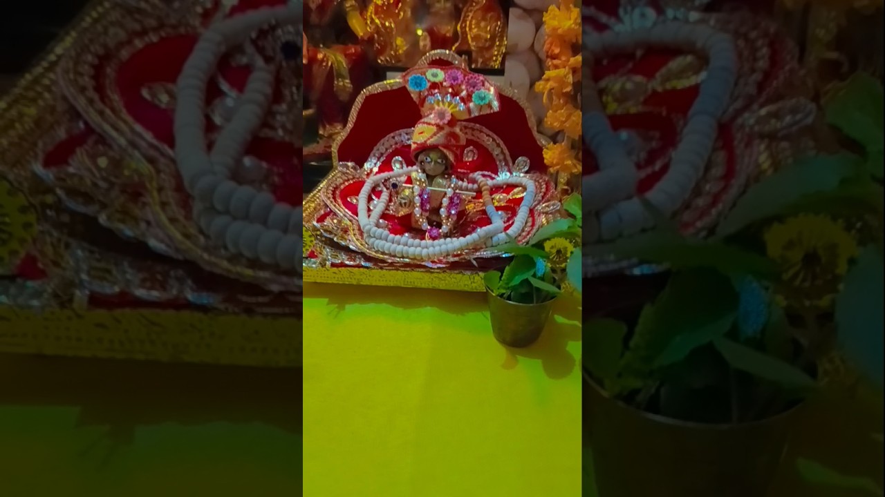 Bharosa jiska bhagwan per hai..😍🙏#krishnakanhaiya#krishnachant #laddugopal #laddugopalstatus