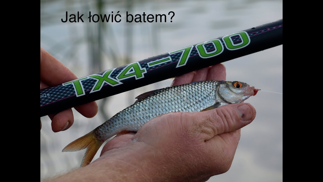 JAK ŁOWIĆ BATEM || LETNIE WĘDKOWANIE NA SPŁAWIK || GRUBY KONKURS || ROZWIŃ OPIS