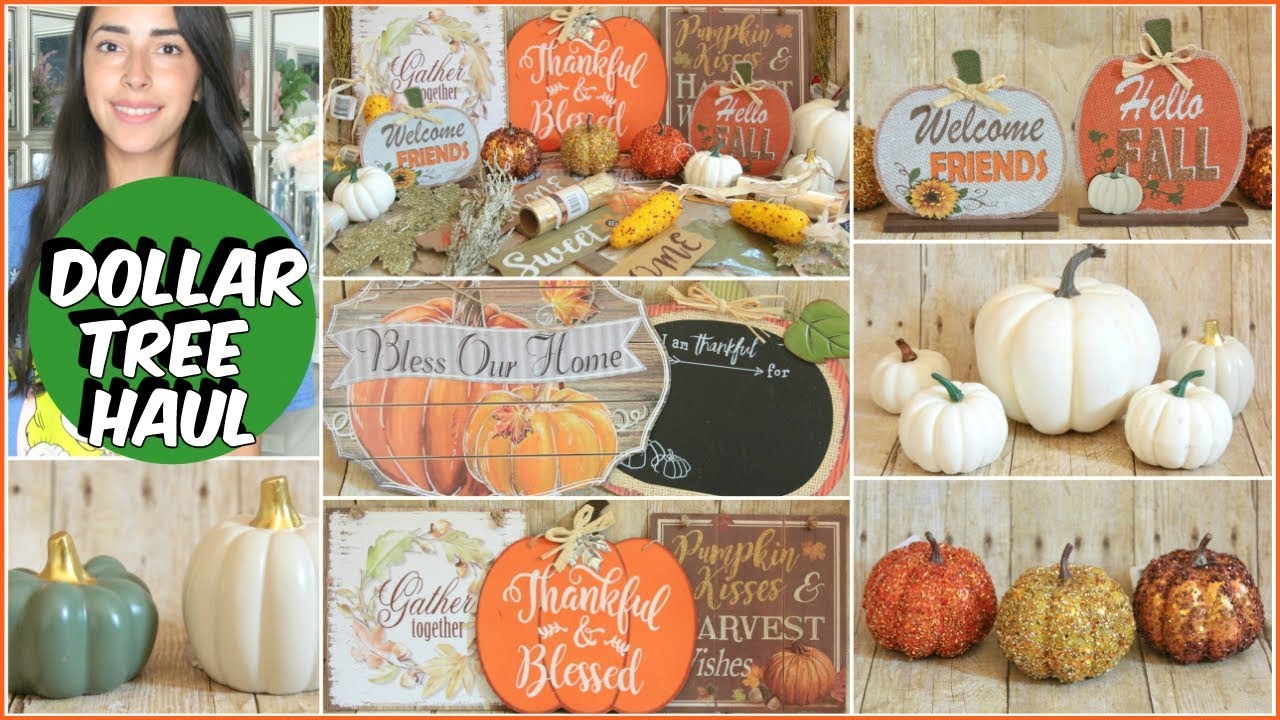 DOLLAR TREE HAUL FALL DECOR 2018