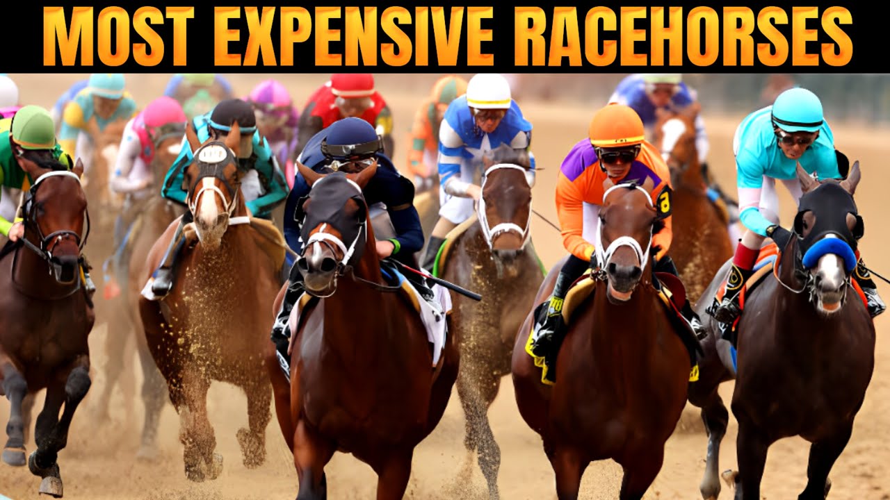 10 Most Expensive Race Horses That Shocked The Entire Equine World !