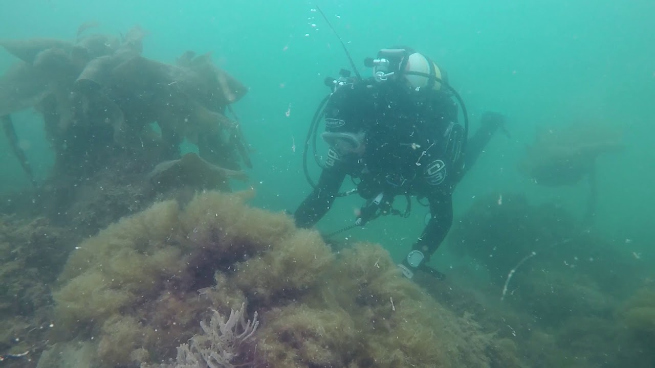Diving Brixham Breakwater