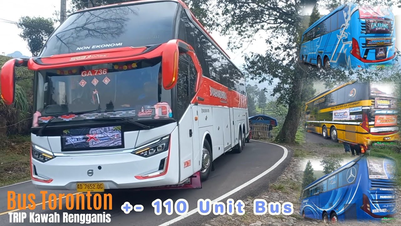 Bus Pariwisata TERBARU ‼️HUBTING BUS TELOLET TRIP MANIA 🔥