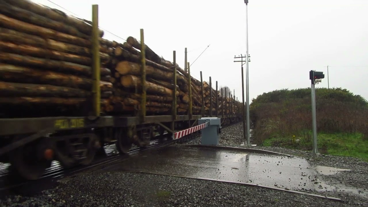 Tren cargado con rollizos de madera de FEPASA por Quino, Araucanía, bajo la lluvia (Sept. 2021)
