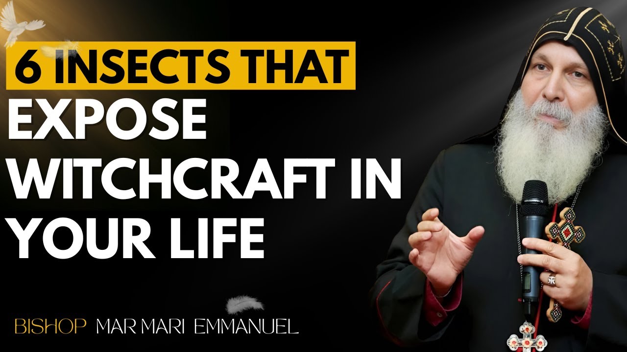The Ants Are Watching: Hidden Spies in Your Spiritual Life | MAR MARI  EMMANUEL
