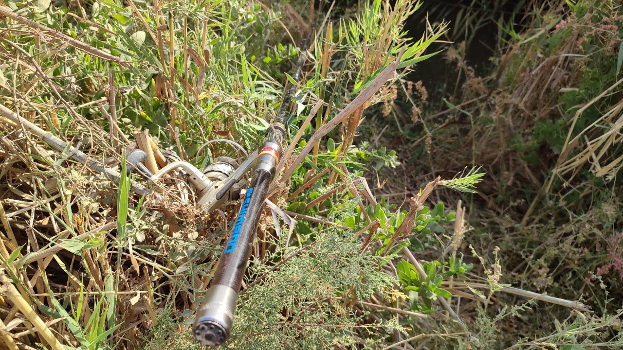 Bugun 13-Oktiyabir bugun yangi joyga bordim yaxshi joy ekan 