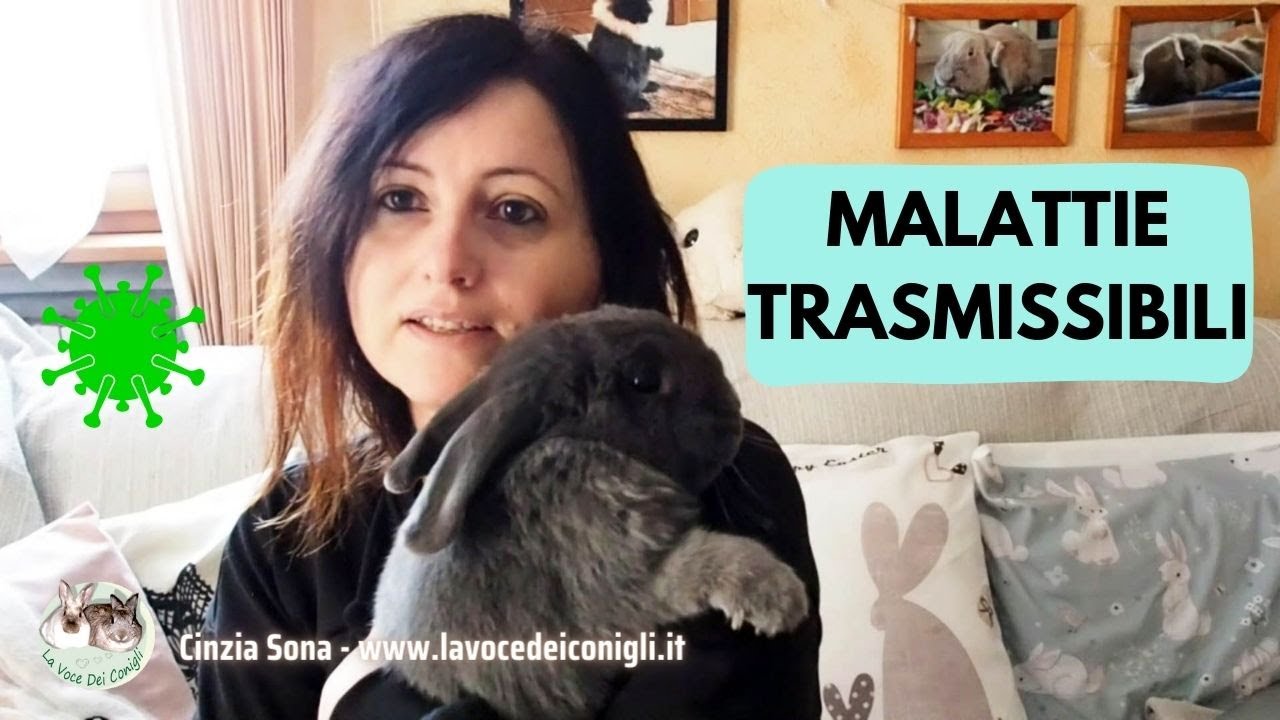 Malattie trasmissibili Coniglio - Uomo