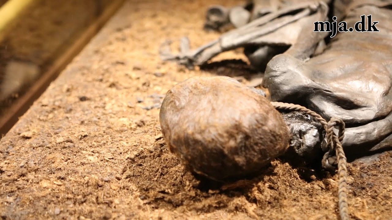 Se Tollundmanden uden hat