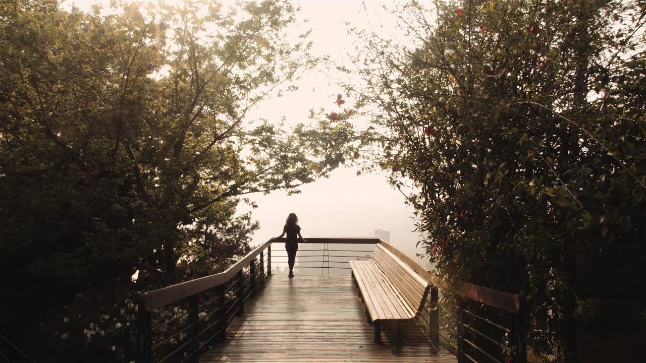Where Is Taiwan: A Journey Through the Republic of China