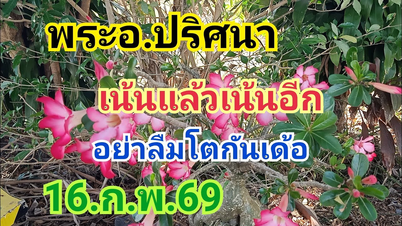 อ.ปริศนา#เน้นแล้วเน้นอีก#อย่าลืมโตกันเด้อ#16.ก.พ.69