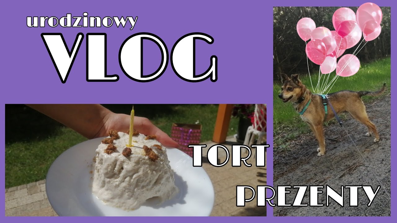 TORT DLA PSA - psie urodziny 🎂