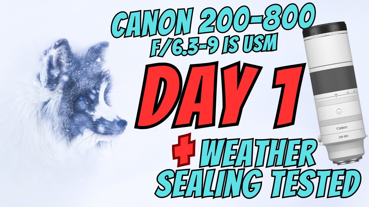 Объектив CANON RF 200-800f/6.3-9 IS USM - День использования | Проверено на герметичность + Побед...