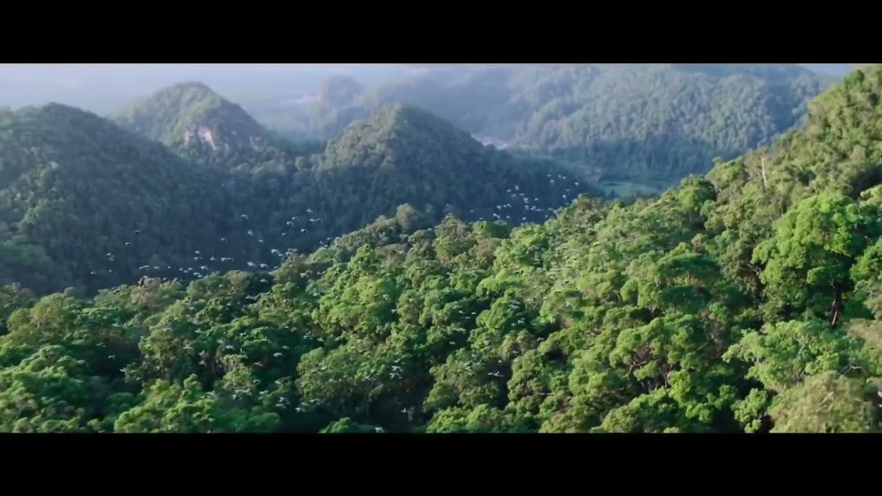 SKYFIRE Trailer (2021)