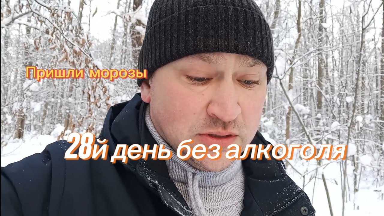 28й день без алкоголя. Пришли морозы.