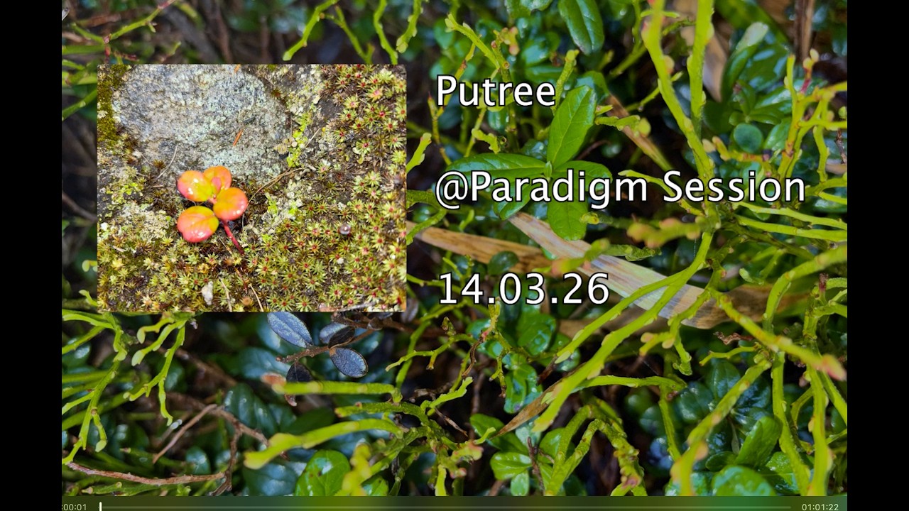 Putree/ Paradigm Session/ 14th March 2026