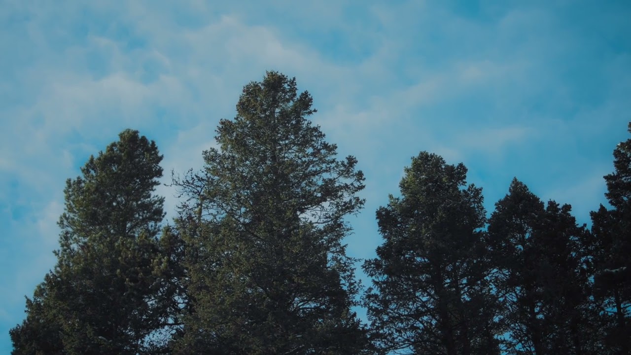 Vibe Chemistry - Blue Sky