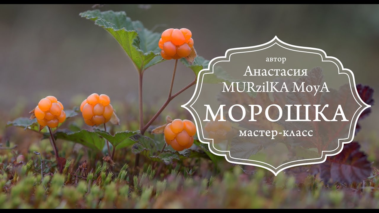 Мастер-класс МОРОШКА из фоамирана