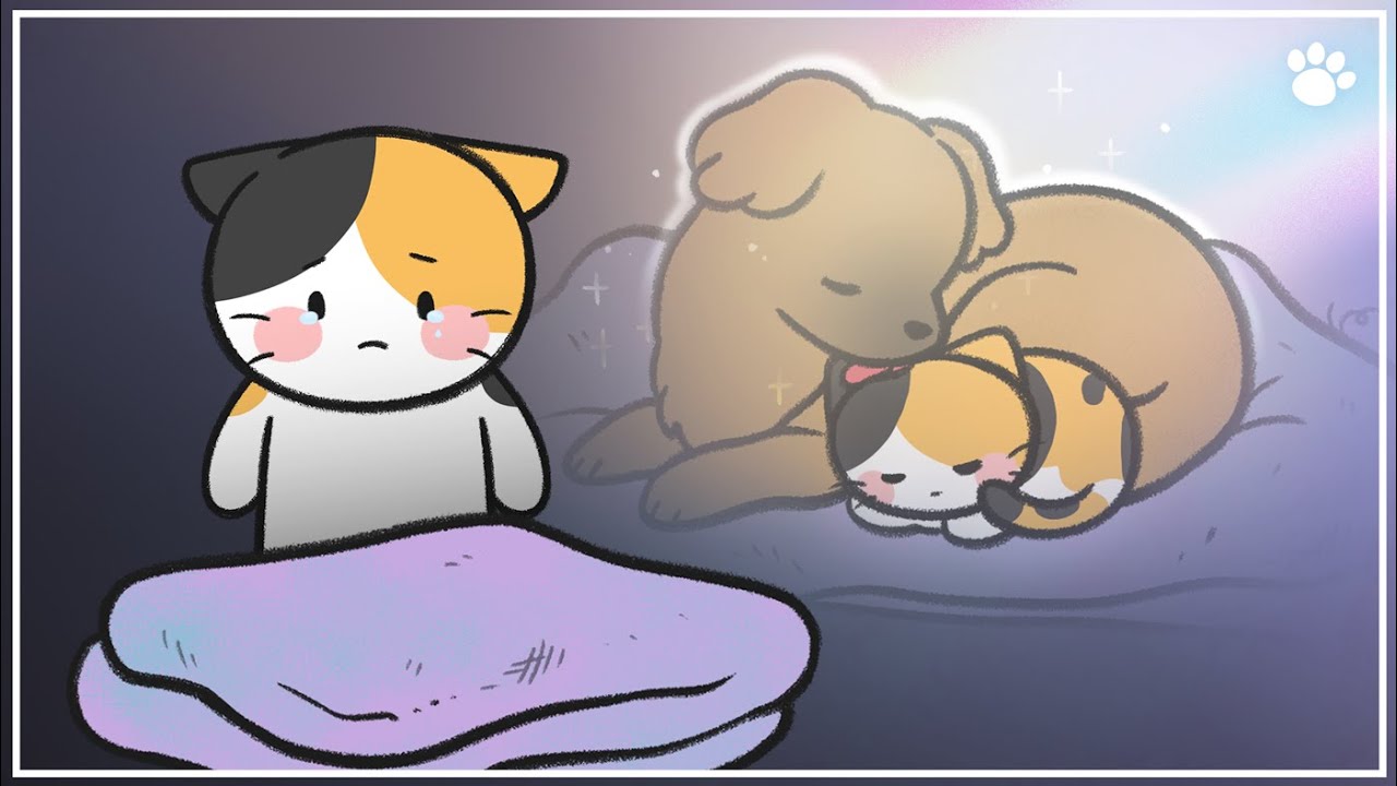 펫로스 증후군, 이별을 받아들이는 방법