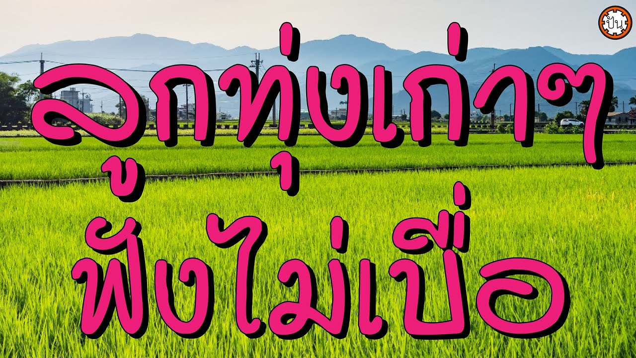 ลูกทุ่งเก่าๆ ฟังไม่เบื่อ #แหวนรัก #เพราะฉันโง่ซิ #อยากไปให้พ้น