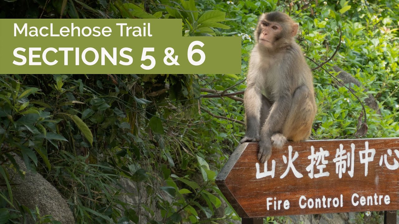 Sections 5 & 6 | MacLehose Trail