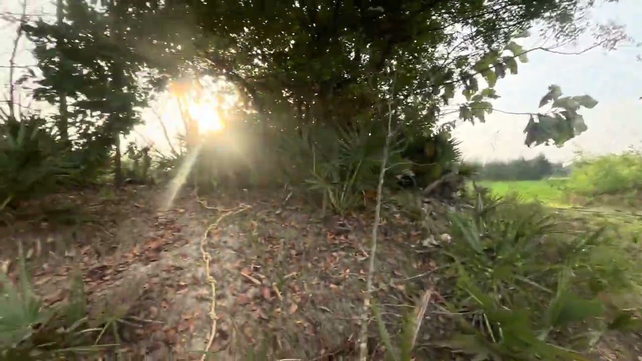 Vakshana Farm Stay | Hidden Paradise Near Dhindivanam | Rettanai Village Farm Stay 