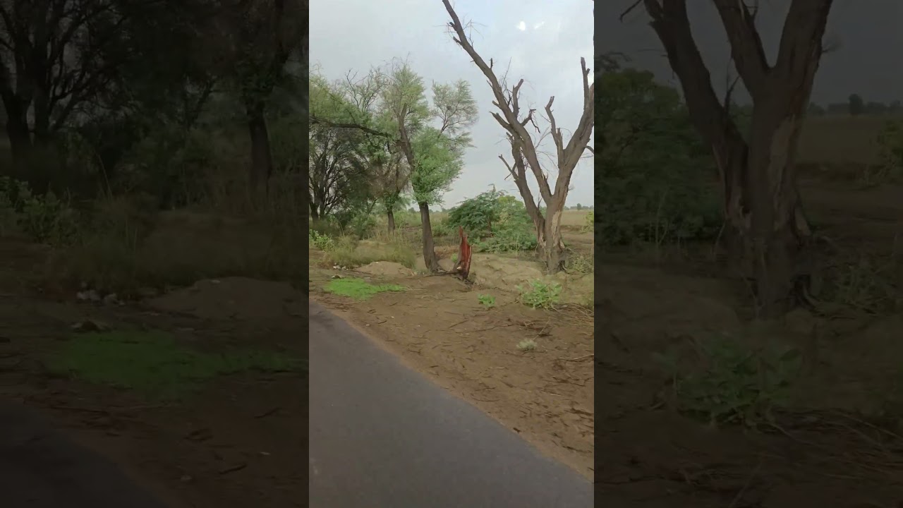 hindi song | love | tour | safar | barish | original | Reality | Video | shortsvideo 