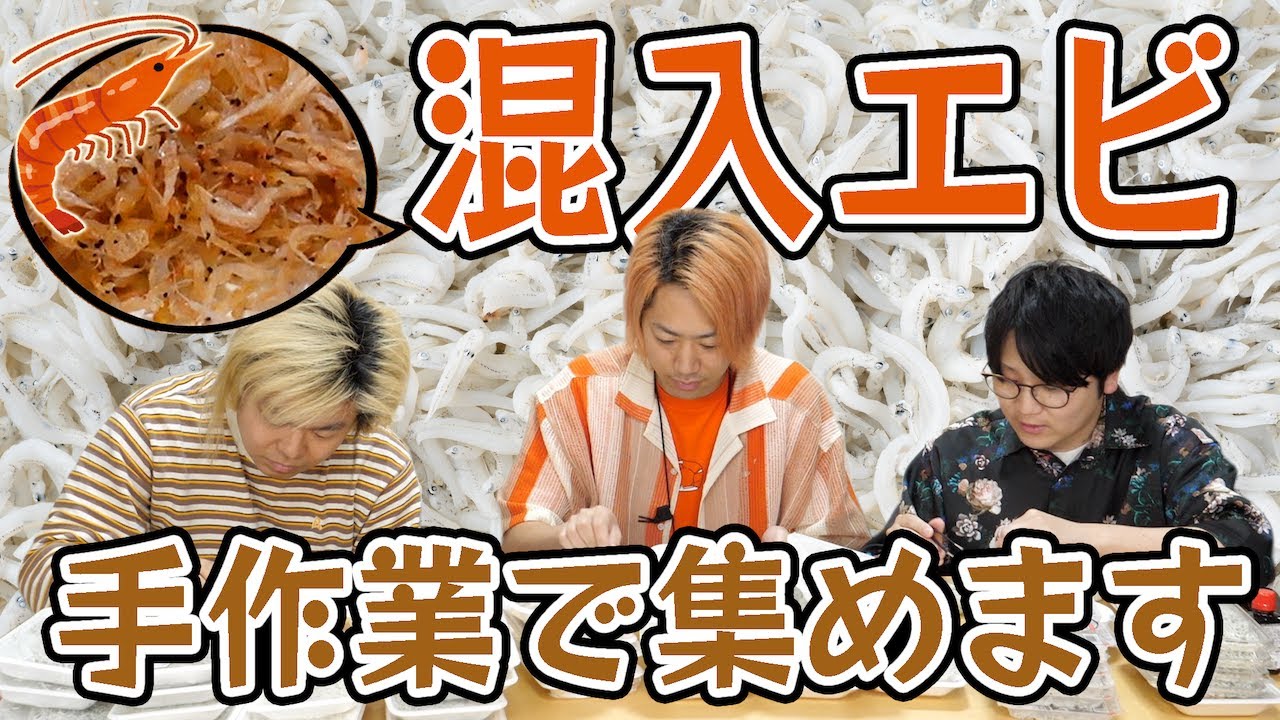 しらすに混入してる小せぇエビを集めてエビフライにしたらエビフライの味がするの？